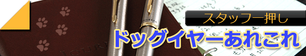 スタッフ一押しドッグイヤーあれこれ