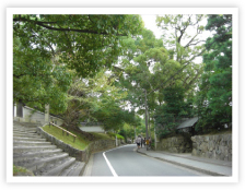 編集プロダクション (ライティング株式会社)