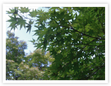 編集プロダクション (ライティング株式会社)