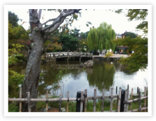 編集プロダクション (ライティング株式会社)