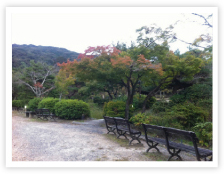 編集プロダクション (ライティング株式会社)