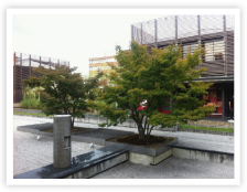 編集プロダクション (ライティング株式会社)