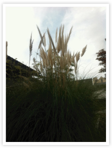 編集プロダクション (ライティング株式会社)