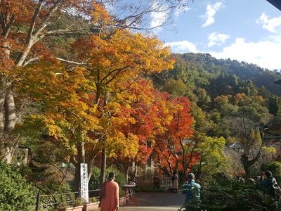 20191119_131905.jpg
