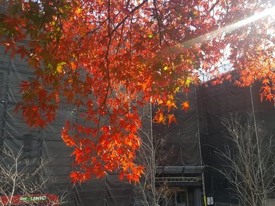 20191119_132021.jpg